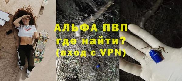 ешки Бородино
