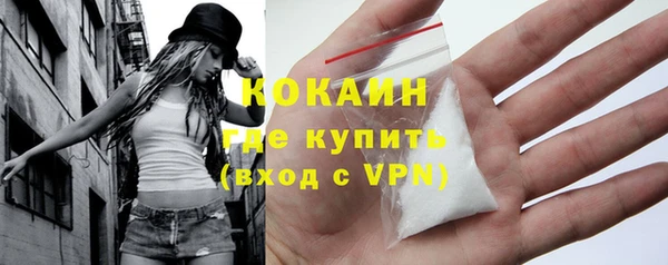 ешки Бородино